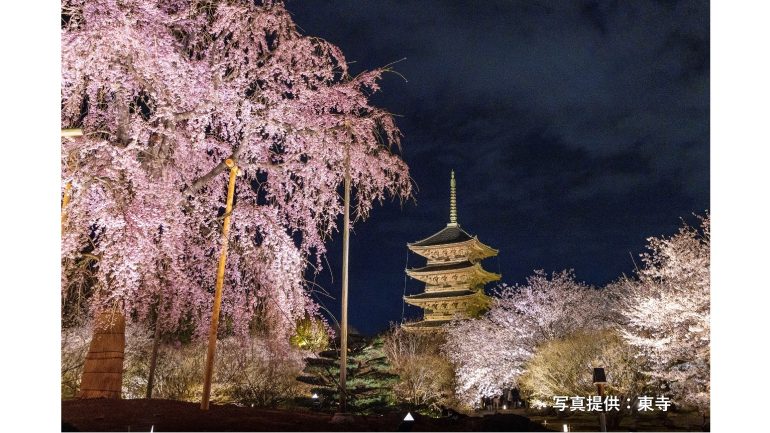 「HOTEL THE MITSUI KYOTO」が桜の名所として名高い東寺や清水寺を独占できるプライベートツアーを販売